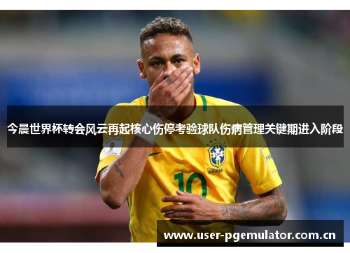 今晨世界杯转会风云再起核心伤停考验球队伤病管理关键期进入阶段 今晨世界杯转会风云再起核心伤停考验球队伤病管理关键期进入阶段